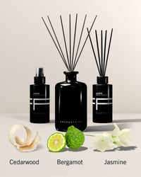 Mini fragrance sticks Laurin 100ml