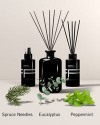Recharge de parfum d'ambiance Domenic