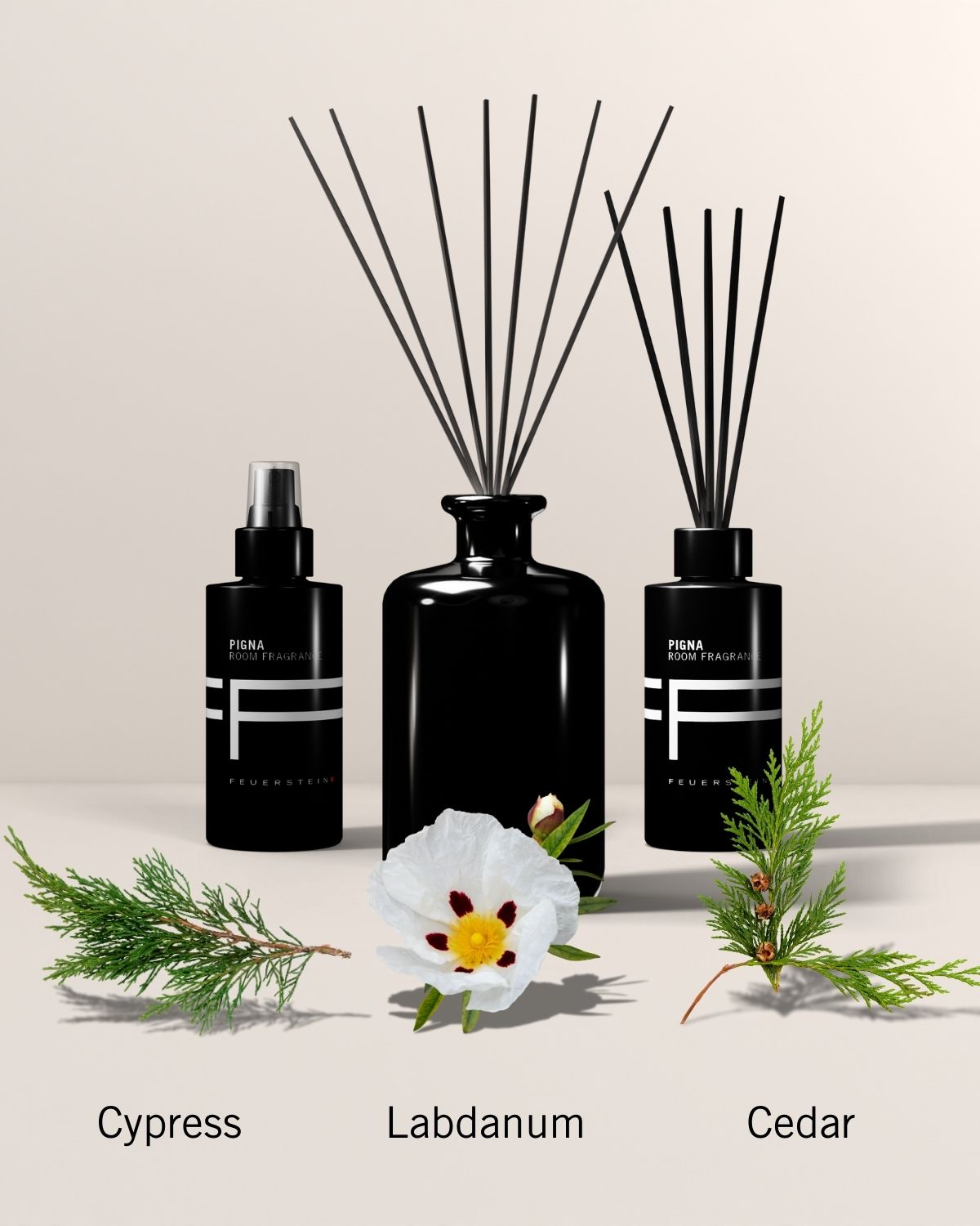 Mini-bâtonnets d'encens Pigna 100ml