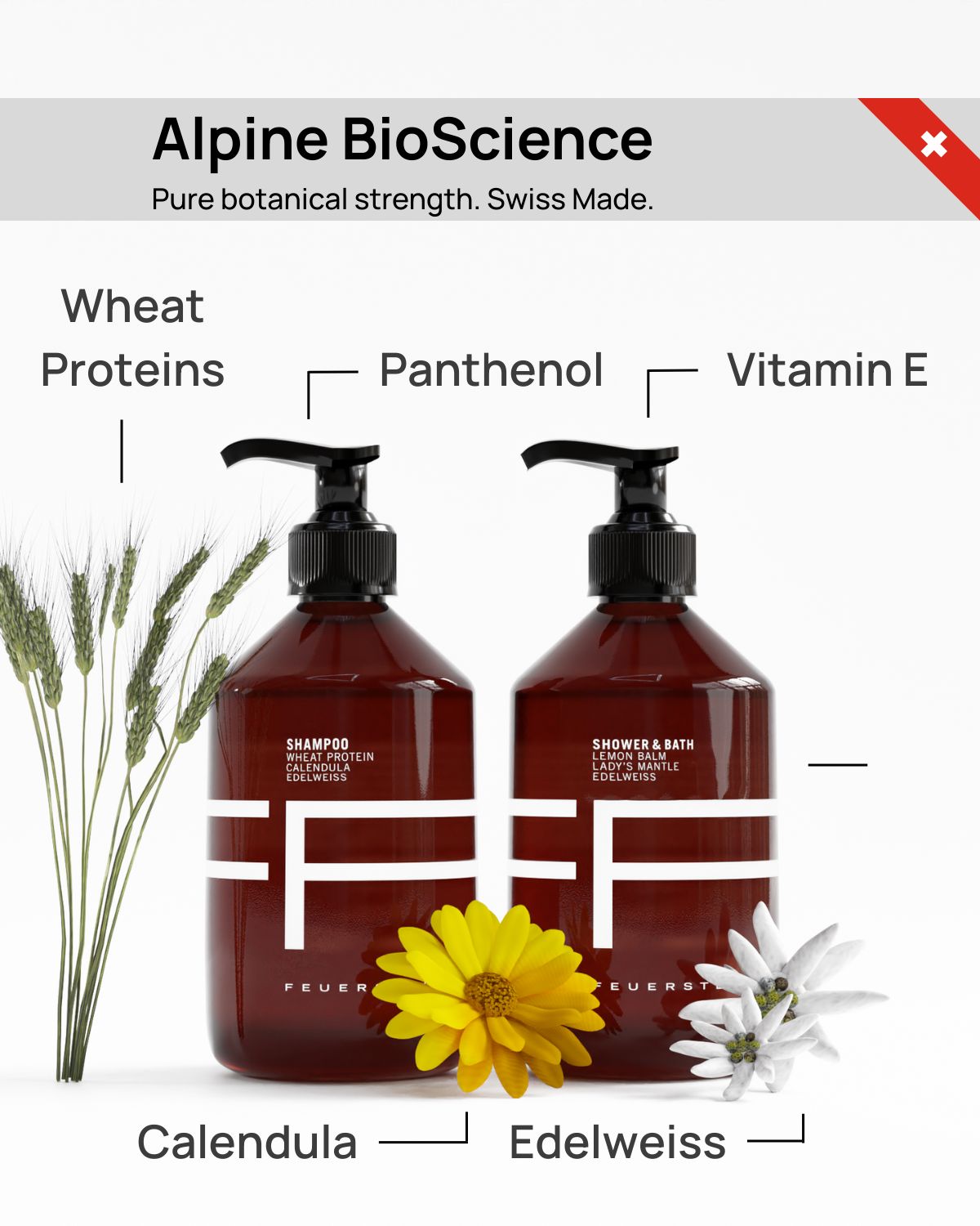 Shampoo & Shower Duet - Shampoo & Shower Gel